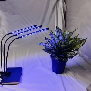 Professional 4 Head LED