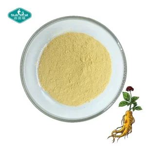 Extracto en polvo de ginseng panax