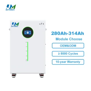 JM Factory Wholesale Floor-mounted LiFePO4 Battery