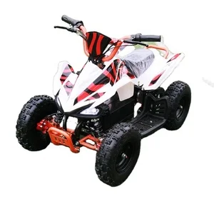 Mini 500W 36V ATV Electric Quad