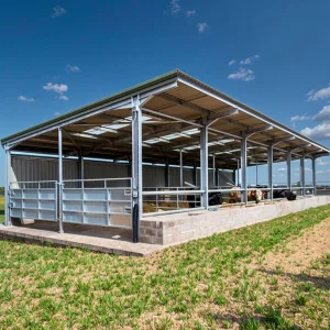 Eco-friendly Farmhouse Shed