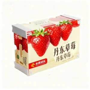 Customizable Vegetable Fruit Chicken Fish Thermal Insulation Cooler Shipping Stone Strawberry Boxes
