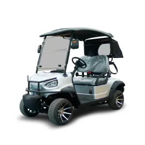 Silver 2-Seater Urban Electric Golf Cart