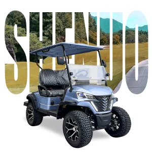 EPA CARB Certified Commercial Powertrain Golf Cart Gasoline Engine 2+2 Seats Golf Cart Gasolina Fo Resort Fleet MobilitySystems