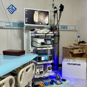 High Definition Electronic Gastrointestinal Video Endoscopy System