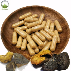 Phellinus Linteus Mushroom Extract