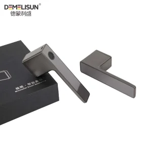 Nordic Office Entry Lever Smart Gate Biometric Fingerprint Security Smart Rim Door Locks