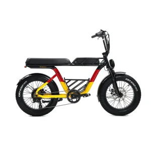 Luxury Electric Fat Tire Bike