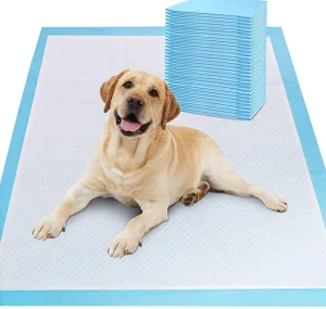 China Wholesale Dog Pet Puppy Training Pads Diaper Mats & Pads