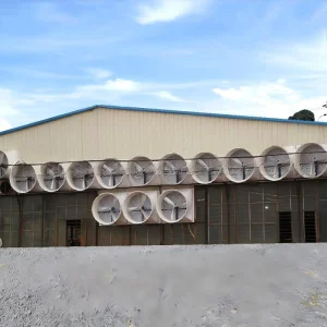 Casa de Camadas Padronizada - Conjunto Completo de Estrutura de Aço Personalizada com Isolamento em PU para Sistema de Habitação Avícola Controlado Climaticamente
