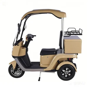 Reliable Electric Trike for Cargo and Commuter Needs