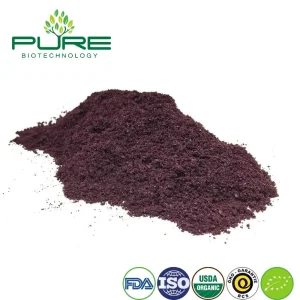 Suplemento de Acai Berry Orgánico Premium para el Apoyo a la Salud Inmunológica
