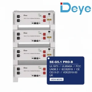 Deye High Capacity Battery