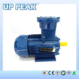 Explosion Proof Motor