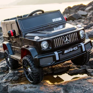 2-Seater Ride-on RC Car