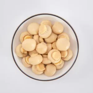 OEM/ODM Disponible 400g Champiñones Enteros en Lata en Rodajas de China Conservados en Solución Salina Exportados a Nivel Mundial