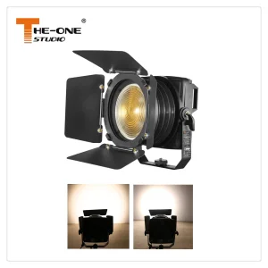 200W LED Folding Fresnel