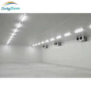 Cold Storage Freezer for Fish