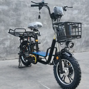 60V20A Lithium Battery Electric Bicycle /Electric Bike/Cargo Bike Electric /Ebike for Efficient off-Road Food Delivery