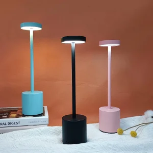 Portable USB Table Lamp