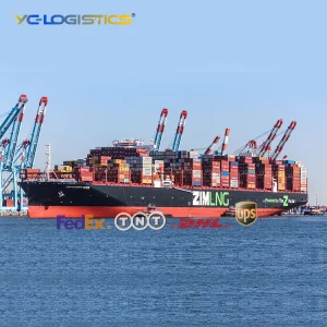 Cheap Sea Shipping Agent From China