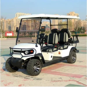 Street Legal 2/4 Seater Electric Golf Car