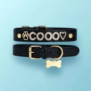 Funny DIY Stainless Steel Designer Sparkle Dog Collar Removable Personalized Wholesale Bling Dog Collar with Slide Letter Charms