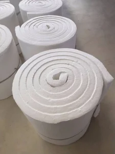 Refractory Insulation Module