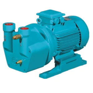 4kw Liquid/Water Ring Vacuum Pump