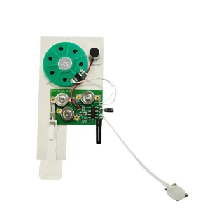 Sound Recording Chip