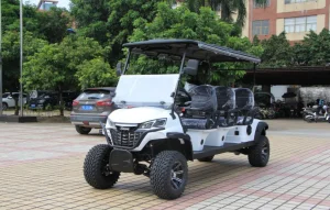 Chinese Custom Golf Car Cars Luxury 48V Lead-Acid Battery 6 Person 6 Seater Seat Electric Golf Cart