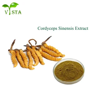 Cordyceps Sinensis extracto