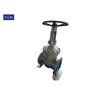 Cryogenic Gate Valve