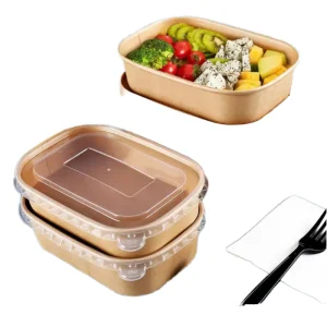 Bento Box