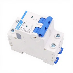 Chint NXB-63 Miniature Circuit Breaker 1P 2P 3P 4P Variants C1 C2 C3 C4 C6 C10 C16 C20 C25 C32 C40 C50 C63 CHINT NXB-63