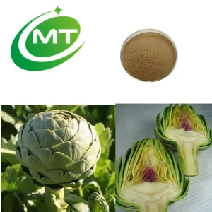 100% Extrato de Alcachofra Orgânico Natural Puro Certificado