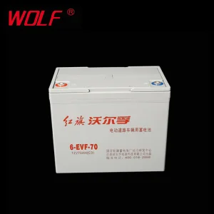 Factory Direct 12V 70Ah Electric Tricycle Battery 6 Evf 70