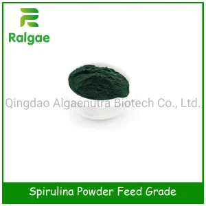 Spirulina Platensis