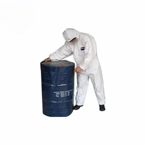 Painter Coverall