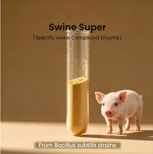 Feed Grade Swine Complex Enzyme Enhance Growth Performance and Gut Health