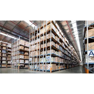 Customized Intelligent ASRS