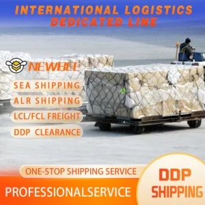 International Shipping Agent Amazon Fba Consolidation Logistics From Ningbo to Bandar Abbas, Iran