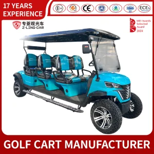 6 Seater Golf Cart