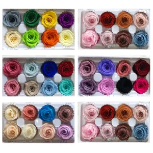 Long Lasting Preserved Rose