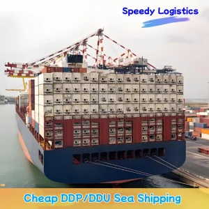 Warehouse Logistics Guinea-Bissau