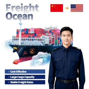 China to USA Door-to-Door Sea Freight Service FCL