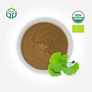 Organic Ginkgo Biloba Leaf Extract Powder Food Grade Herbal Supplement Flavonoids Terpene Lactones Solvent Extraction Drum