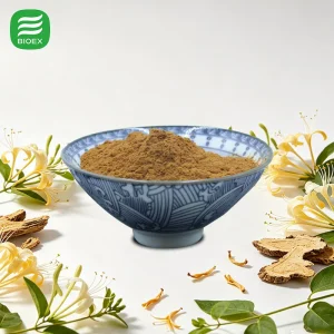 High Quality Honeysuckle Extract 25% Chlorogenic Acid by HPLC for Nutraceutical Production
