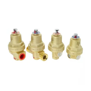 Dys-06f Pressure Adjusting Regulator Copper Hydraulic Liquid Low Temperture