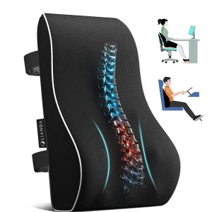 Mesh Lumbar Support Cushion